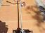 Immagine 1