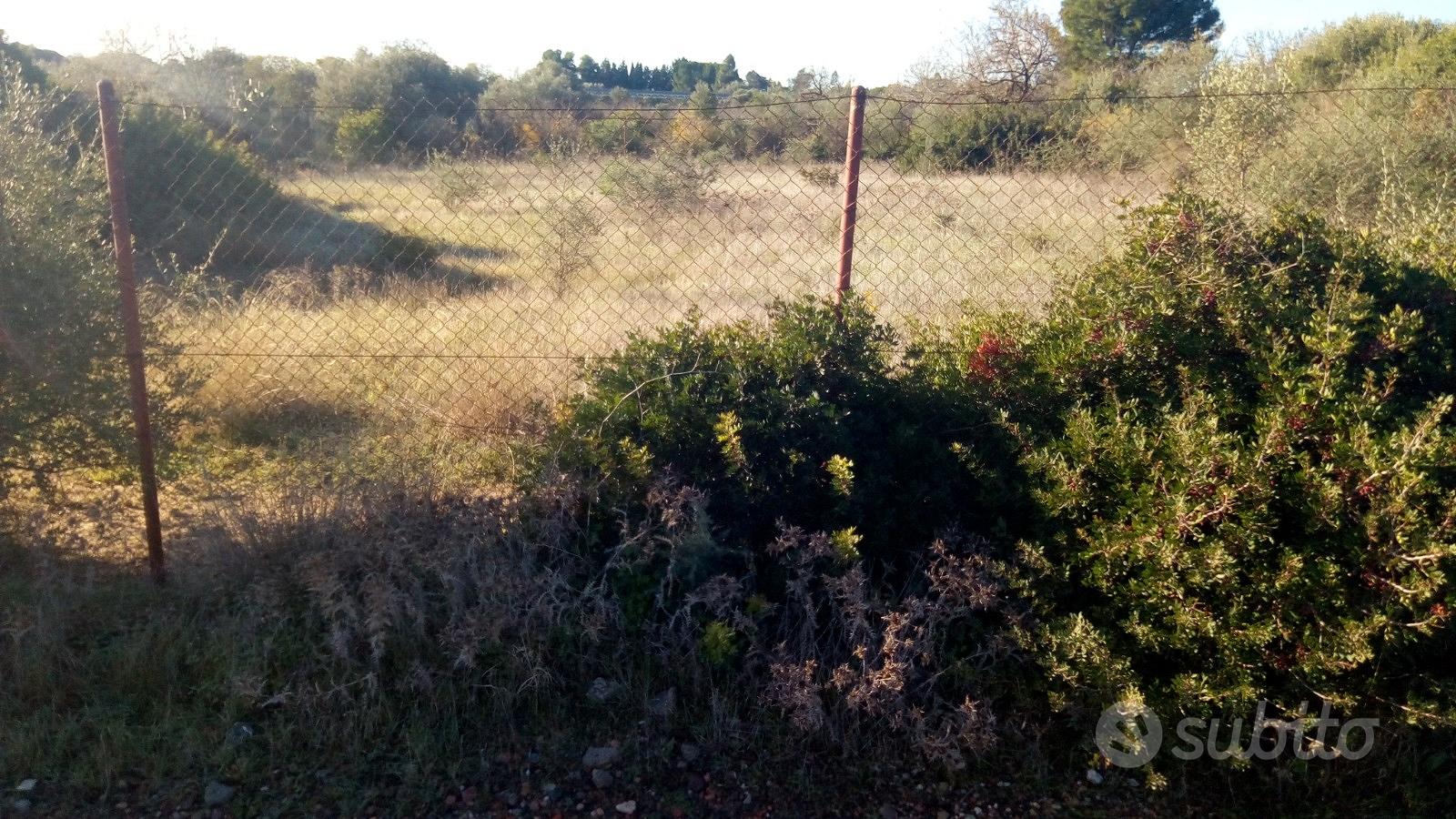 Terreno agricolo San Isidoro Quartucciu - Vista 4