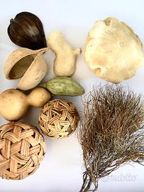 Lotto oggetti flora per styling e decorazione casa