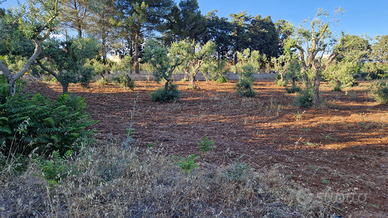 Terreno Via della chiusa