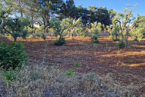 Terreno Via della chiusa