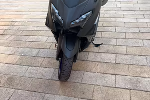 T-max 2026