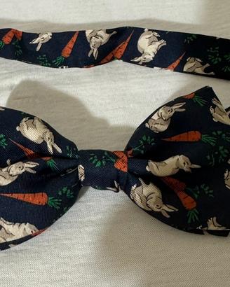 Papillon seta da bambino. Misura regolabile
