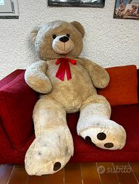 Puluche orso gigante