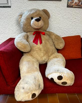 Puluche orso gigante