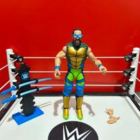 Wrestler WWE Seth Rollins