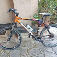 Bottecchia FX 520