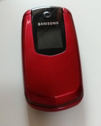telefono Cellulare vintage Samsung E2210b