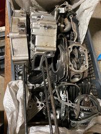 Motore pitbike125 kayo