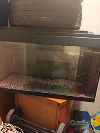 acquario 100 lt 