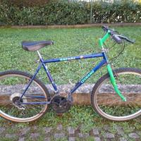 Bicicletta ragazzo ruota 26