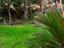 Immagine 25