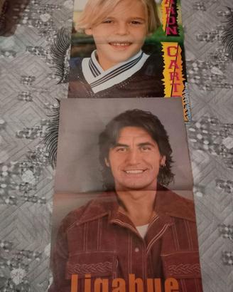 Poster Ligabue