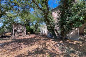 RUSTICO A MISANO ADRIATICO