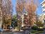 Immagine 25