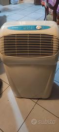 pinguino 9000 btu 