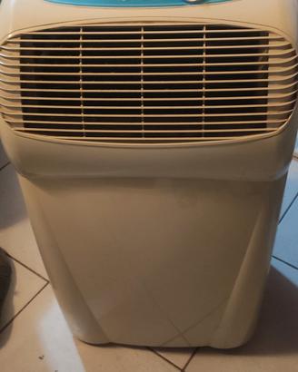 pinguino 9000 btu 