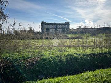 TER. AGRICOLO A BUGGIANO