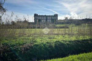 TER. AGRICOLO A BUGGIANO