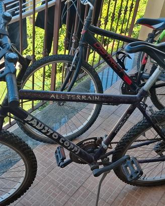 Bicicletta ragazo/adulto da 26" entry level