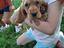 Immagine 4