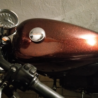 Harley Davidson Sportster 883