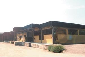 Ampio Capannone a Casarile