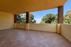 Ampio appartamento con terrazza zona ospedale s.f