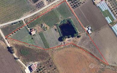Terreno Agricolo con Casale e Laghetto Naturale