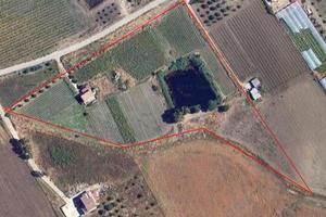 Terreno Agricolo con Casale e Laghetto Naturale