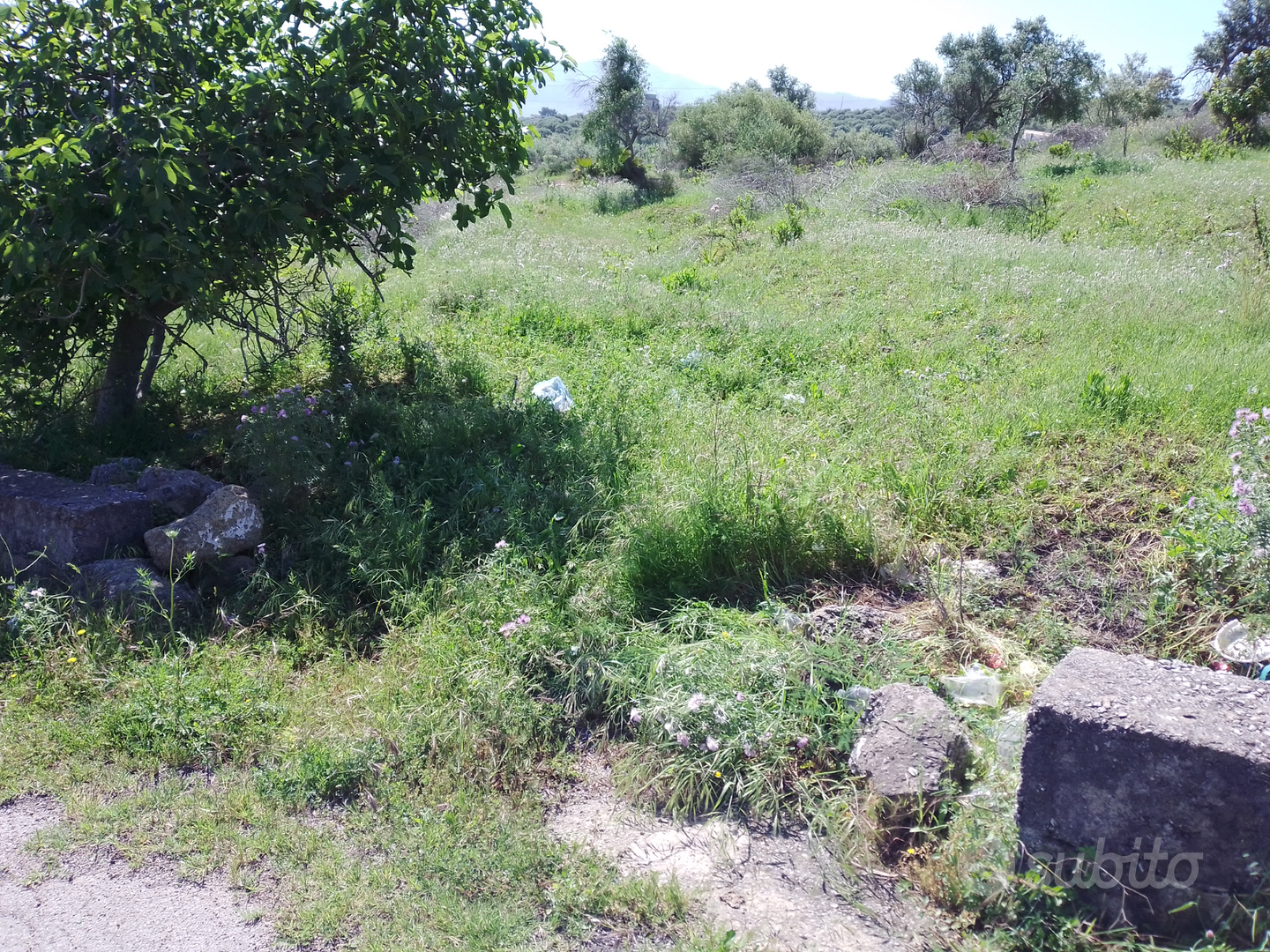 Terreno edificabile - Vista 5