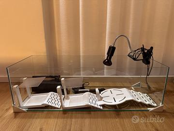 Tartarughe terrario, set completo