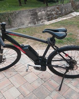 bicicletta elettrica e-bike