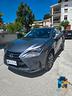 lexus-nx-300h-2-5-executive-4wd-cvt