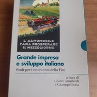 Grande impresa e sviluppo italiano Fiat | 1 & 2