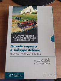 Grande impresa e sviluppo italiano Fiat | 1 & 2