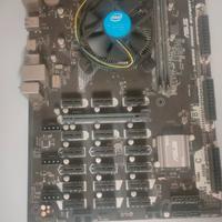 Scheda Madre Asus B250 Mining Expert