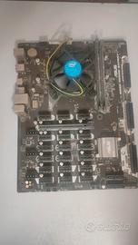 Scheda Madre Asus B250 Mining Expert