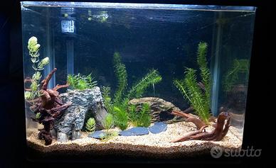 Acquario Amtra 40 Litri
