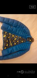 Piumino 100g Just Cavalli