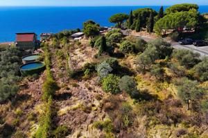 TER. AGRICOLO A COSTARAINERA