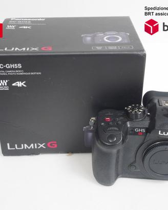 Panasonic GH5 S