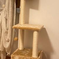 Albero tiragraffi gatti