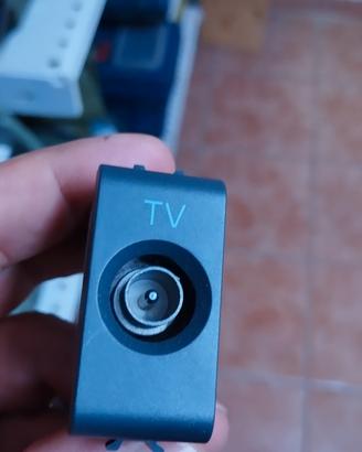 presa tv