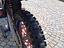 Immagine 5