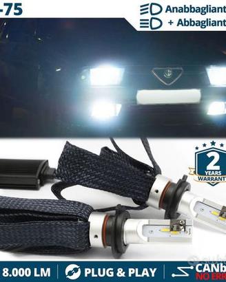 Kit Luci LED H4 per Alfa Romeo 33 75 CANbus 6500K