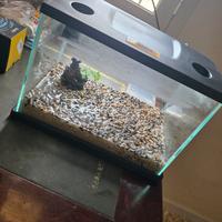 Mini Acquario 15 lt