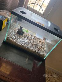 Mini Acquario 15 lt