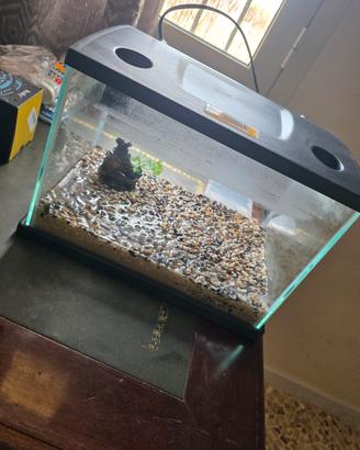 Mini Acquario 15 lt