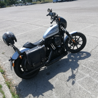 Iron 1200 sportster